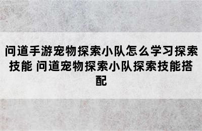 问道手游宠物探索小队怎么学习探索技能 问道宠物探索小队探索技能搭配